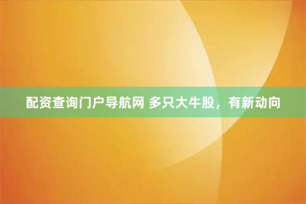 配资查询门户导航网 多只大牛股，有新动向