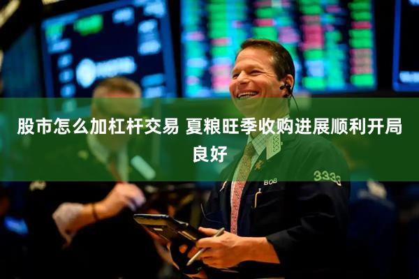 股市怎么加杠杆交易 夏粮旺季收购进展顺利开局良好